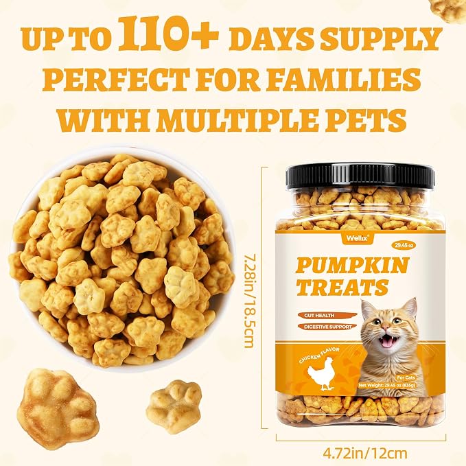 Wellix 29.45 oz Healthy Cat Treats Pumpkin Flavor - Chicken Formula Stomach Sensitive Kitten Snacks for Digestive Support - Cat Constipation Relief Low Calorie Food Topper for Cats