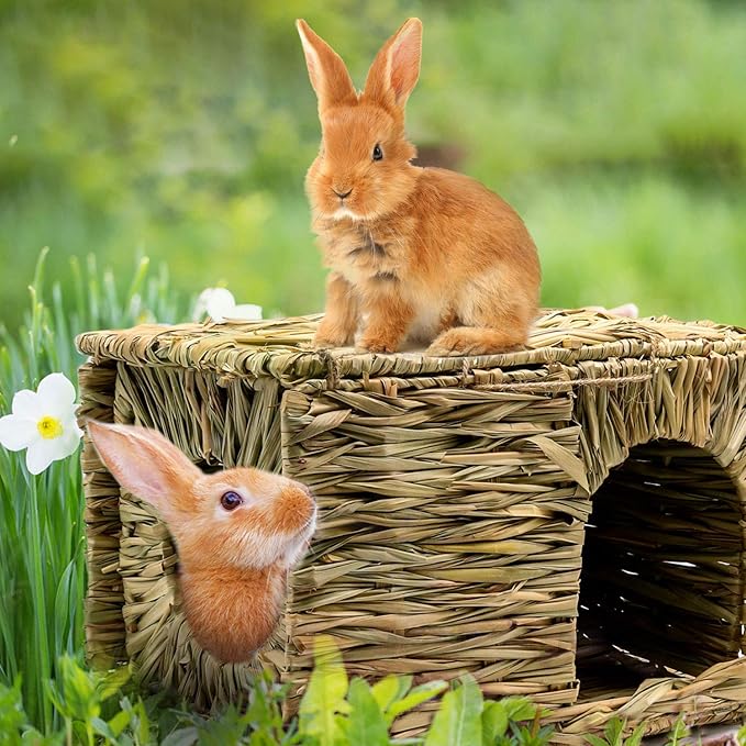BWOGUE Extra Large Grass House for Rabbits,Hand Crafted Natural Grass Hideaway Foldable Bed Hut with Openings Playhouse for Bunny Guinea Pig Chinchilla Ferret for Play and Sleep(2 Pack)