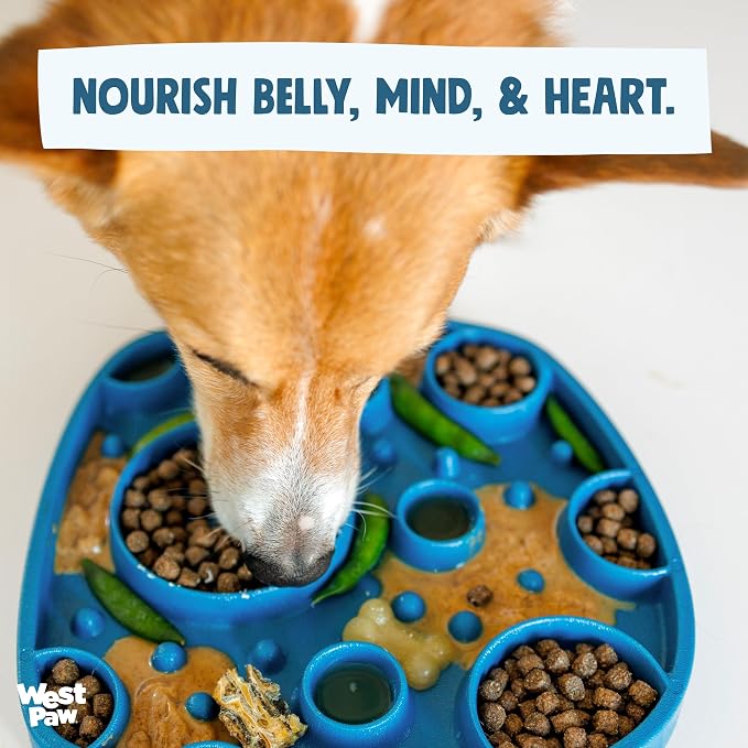 West Paw Seaflex Waves Feast Mat – All-in-One, Slow Feeder, Lick Mat – Encourages Foraging & Food Exploration - Engages Picky Eaters & Slow Feeding - Versatile – Easy to Clean, Non-Toxic - Periwinkle