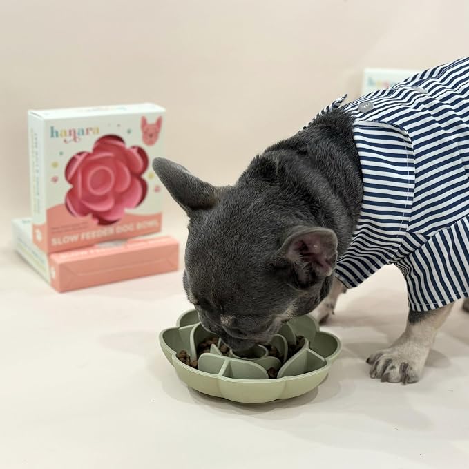 Hanara Sillicone Slow Feeder Dog Bowls & Lick Mat with Suction Bottom | Rose Petals Design | Promotes Better Digestion, Prevent Choking | Dish Washer Safe | Great Size for All Breed (Misty Gray)