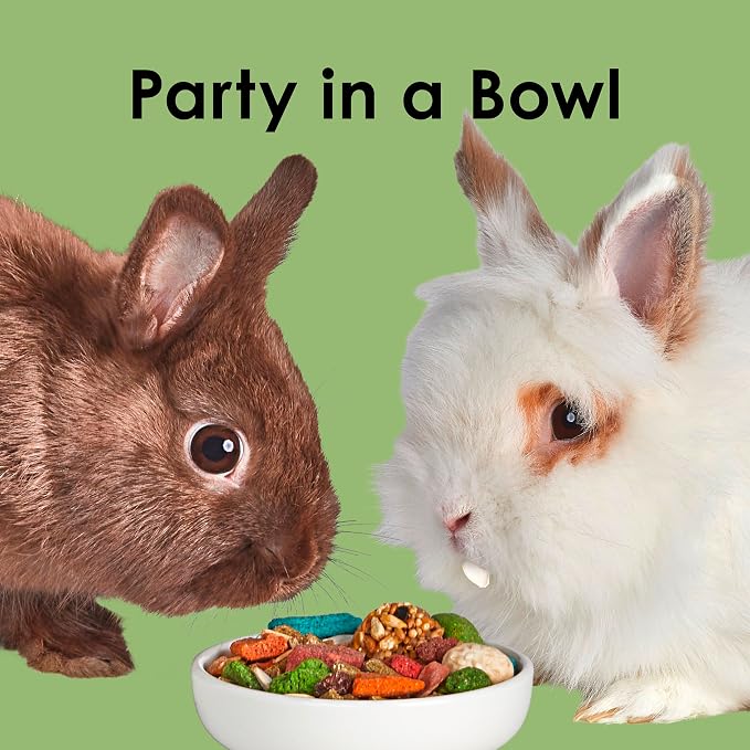 Kaytee Fiesta Rabbit Food, Nutritious and Fun Blend, Supports Dental Health and Digestion, 25 Pounds