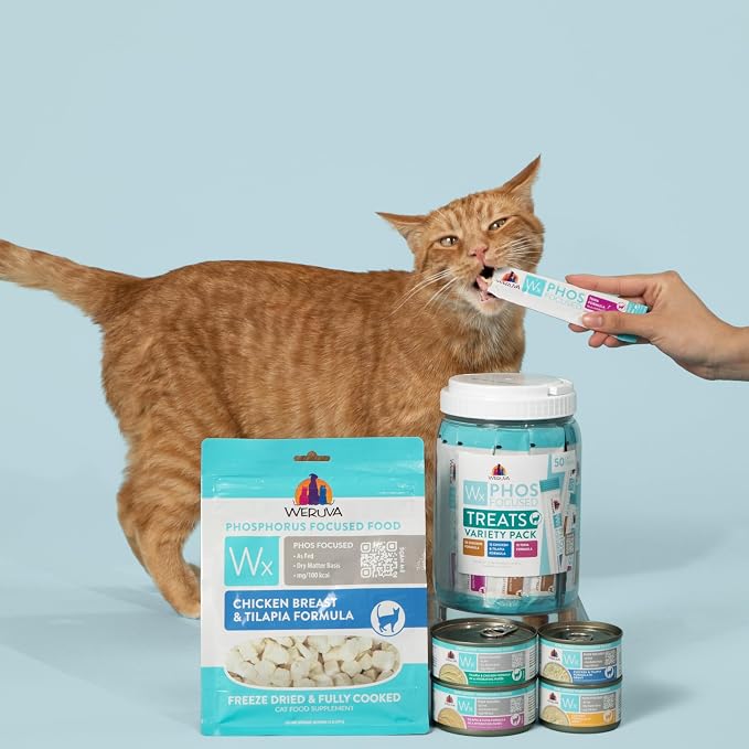 Weruva Wx Phos Focused, Chicken and Tilapia Formula Lickable Cat Treats, 0.5oz Tube, Pack of 50