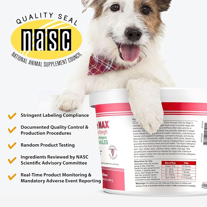 Triple Strength HA Granules for Dogs, Glucosamine, Chondroitin, Creatine, MSM and Antioxidants - Hip and Joint Support Supplement, 120 Doses