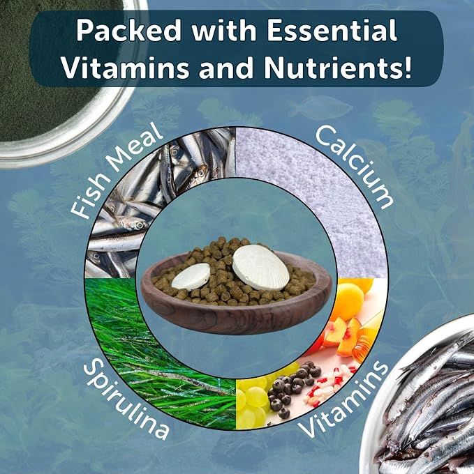 Calcium Blocks Included in Snail & Shrimp, 4mm-3/16 Sinking 40% Protein Nuggets with for Snails, Shrimp, Crabs, All Bottom Tropical Fish…10oz Jar