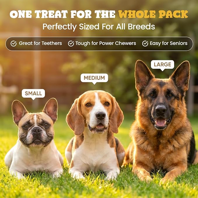 hotspot pets Rawhide Chips Dog Chews - 3LB Bag - Single Ingredient Premium Bulk Rawhide Chips for Dogs - Helps Support Teeth & Dental Chews for Dogs