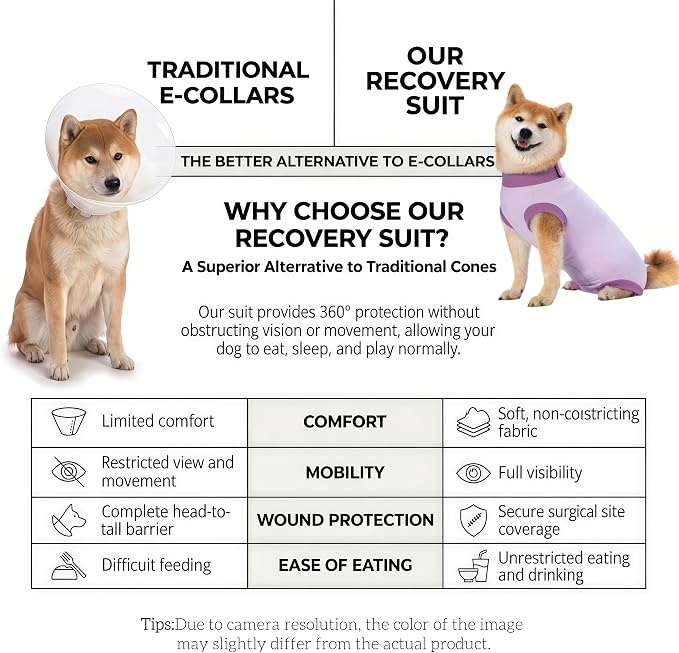 Dog Recovery Suit After Surgery, Abdominal Wound Protection Onesie, Anti-Licking Substitute for E-Collar & Cone, Relieves Anxiety, Easy to Put On, Suitable for Male & Female Dogs (Lavender, Medium)