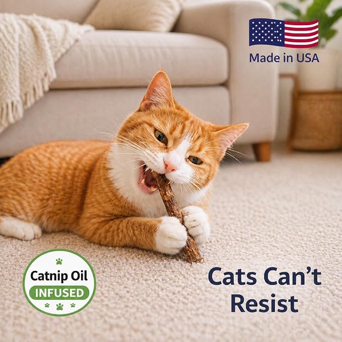 Silvervine Sticks for Cats with Catnip Oil (4 Pack) - Matatabi Cat Chew Stick Dental Toy for Teeth Cleaning - Natural Kitten Teething Chew Toys for Indoor Cats - Made in USA