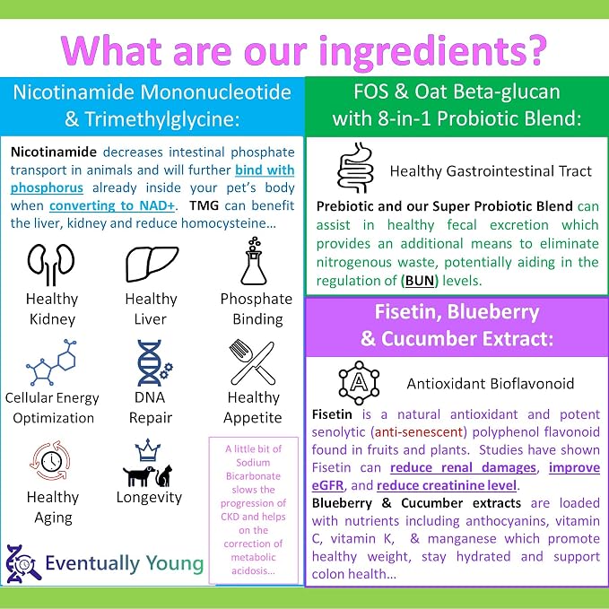 Cat Kidney Support Restore 4 Cats Dogs: 12-in-1 Benefits Super Phosphate Binder w/NMN, Fisetin, Antioxidants, Pre & Probiotic for Healthy Kidney, Liver Functions Anti-Aging & Longevity NAD+ (60 Caps)