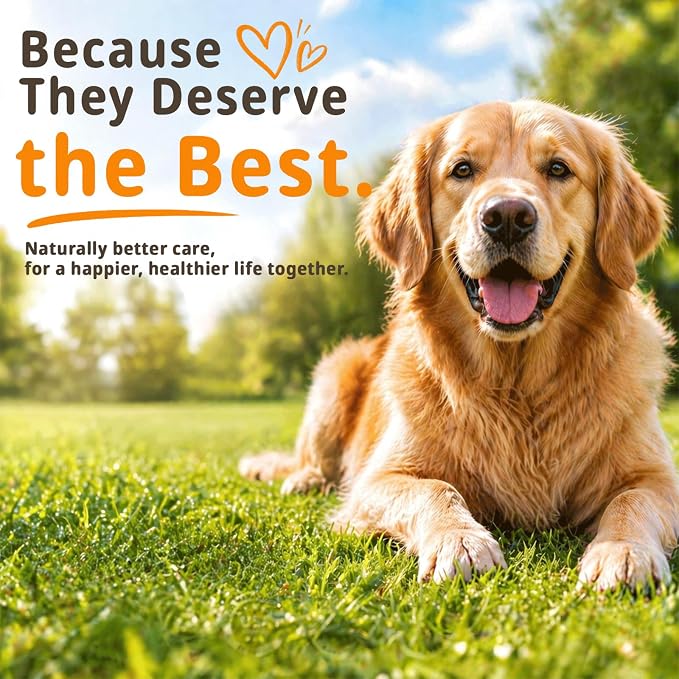 Manuka Honey for Dogs - Allergy & Itch Relief Chews - Skin Comfort & Coat Health - with Quercetin,Krill Oil,Colostrum &Probiotics - Stop Paw Licking, Soothe Itchy Ears & Yeast Balance - 150 Soft Chews