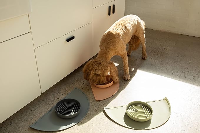 Should We Go? Waterproof Silicone Dog Food Mat – Medium Size Non-Slip Pet Bowl Mat, Raised Edge Design, Easy-to-Clean Pet Food Placemat for Dog & Cat Bowls, 21" Across x 10.5" Deep - Charcoal