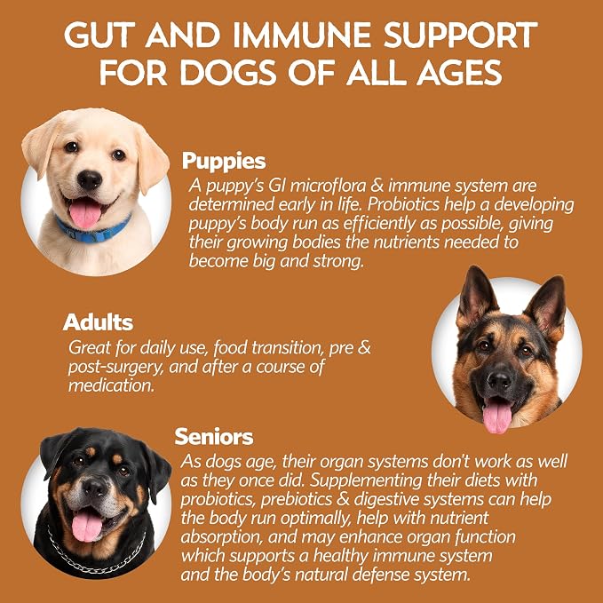Fidobiotics Good Guts Probiotics for Dogs – Dog Probiotic Powder for Digestive Health, Gas Relief & Firmer Stools, 3B CFUs, Enzymes & Prebiotics, Small Dogs, Puppies & Adults - Pack of 2