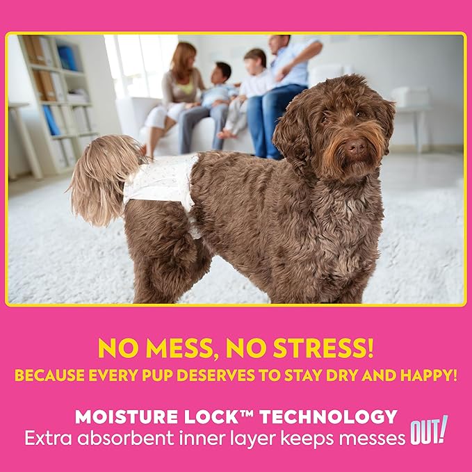 Out! PetCare Disposable Dog Diapers Female, Potty Training, Dog Diapers, Female Doggie in Heat, Puppy Training, Incontinence, Puppy Essentials, Adjustable Fasteners, 13”-18” Waist (XS/S, 96ct)