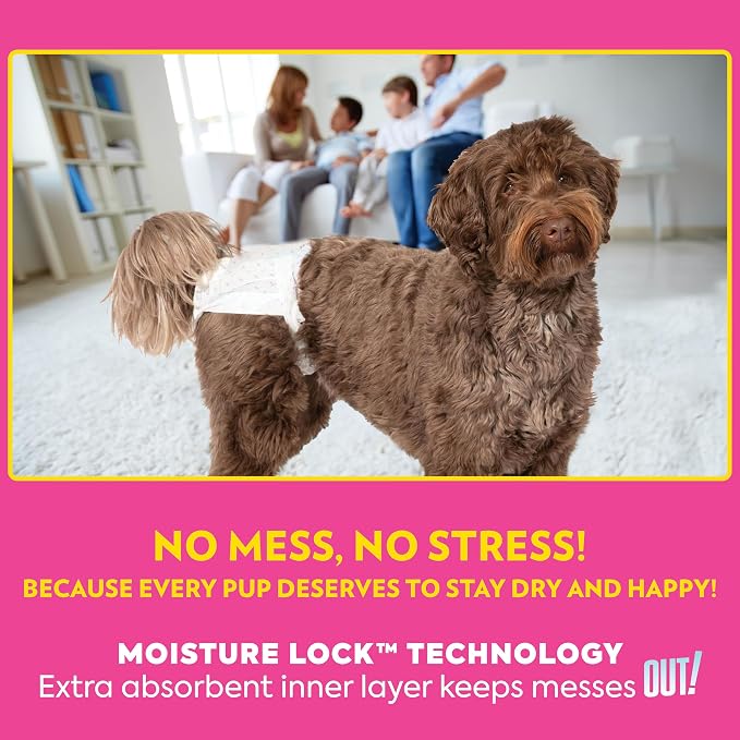 Out! PetCare Disposable Dog Diapers Female, Potty Training, Dog Diapers, Female Doggie in Heat, Puppy Training, Incontinence, Puppy Essentials, Adjustable Fasteners, 18”- 25” Waist (M/L, 96ct)