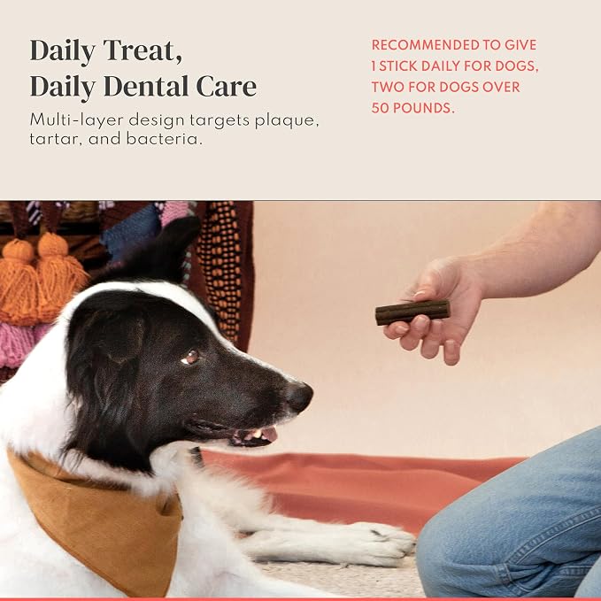 Dental Chews for Dogs β Scrapes Plaque, Freshens Breath, Fights Tartar β Dual-Layered Dog Dental Treats with Probiotics β Vet Formulated with 16 Active Ingredients β All Dog Sizes β Made in The USA