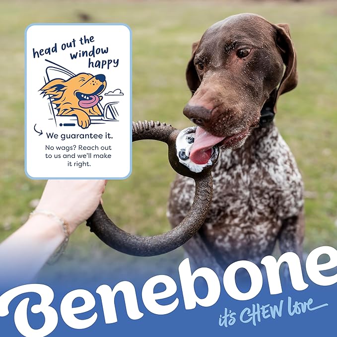Benebone Limited Edition Blueberry Large 4-Pack Dog Toys for Aggressive Chewers, Durable Dog Bones, Made in USA, Dog Toys for Large Dogs Under 90 lbs