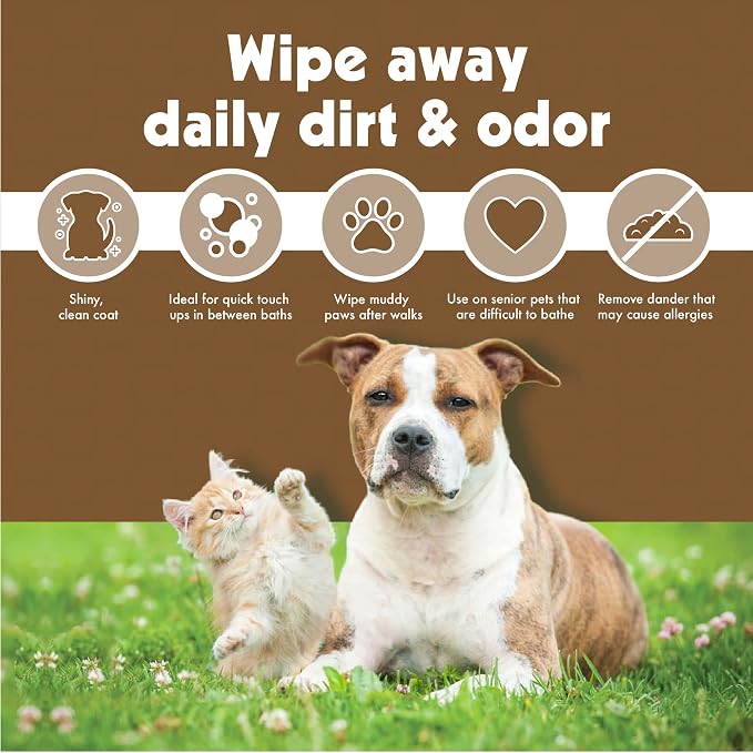 Petkin Large Oatmeal Pet Wipes for Dogs and Cats, 400 Count, Soothes Itchy Skin and Cleans Ears, Face, Butt, Body and Eye Area