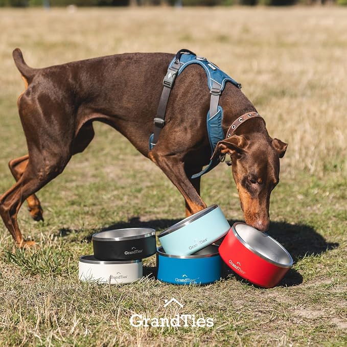 GrandTies Stainless Steel Dog Bowl | Engraved Reusable BPA-Free Insulated Pet Feeder | Large Heavy Duty Non Skid Spill Proof Dog Dish | Outdoor Water Bowl (64oz, Cobalt Blue)