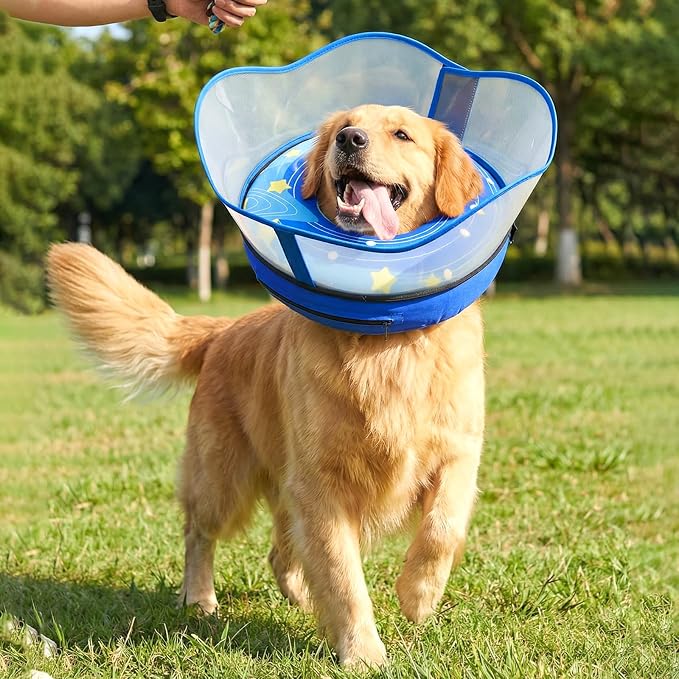 Inflatable Dog Donut Collar with Removable Clear Protective Shield, Soft Pet Recovery E-Collar for Dogs After Surgery, Adjustable Dogs Cone Collar to Prevent Licking Biting Scratching (Blue, X-Large)