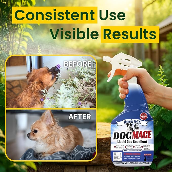Nature’s MACE Dog Mace, Dog Repellent for Yard, Potty Training Tool Spray, Indoor & Outdoor, Pee Deterrent, Safe Around Kids, Pets, Garden & Plants, 1 Gallon Concentrate, Treats 48,000 Sq. Ft.