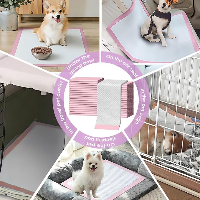 Pet Toilet Training Pads 100 Count Disposable Puppy Pee Pads for Dogs, Ultra Absorbent|Quick Dry|Leak-Proof Pet Potty Pads for Dog, Cat, Rabbits and Guinea Pigs (Pink, 13" x 18"-100 Count)