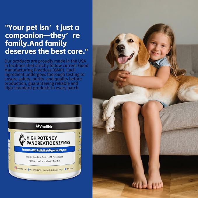 Pancreatic Enzymes for Dogs – 10X Pancreatin Digestive Enzyme Powder – Dog EPI Supplement for Pancreas Support – Helps Restore Weight, Improve Digestion & Relieve GI Stress – 11.99 oz – Vet Formulated