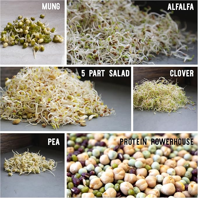 12 Variety Pack Organic Sprouting Seeds - Fully Raw Kristina's Sprouts Growing Kit with Sprouting Lid & Book - Alfalfa Seeds, Mung Bean, Radish, Clover Seed, Salad Mix, Pea, Health Blend, & More