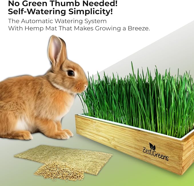 Rabbit Grass Growing Kit – Easy, Self-Watering System for Fresh, Healthy Indoor Greens