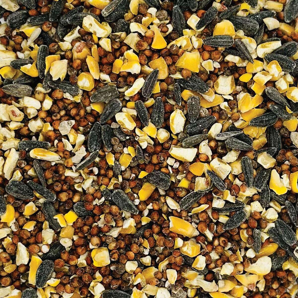 AMERICAN MELODY Wild Bird Feed - 20 Pound Bag