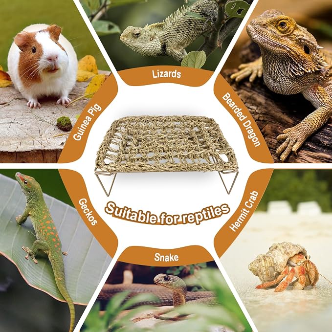 Bearded Dragon Hammock with Sturdy Metal Legs, Seagrass Reptile Basking Platform, Lizard Lounge Bed & Tank Decor for Geckos, Snakes, Hermit Crabs, Frogs