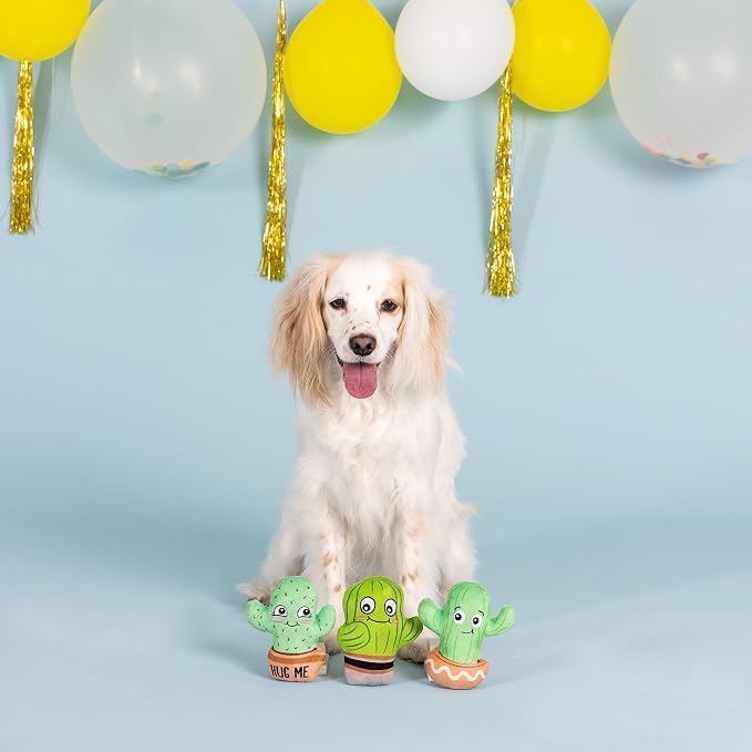 Fringe Studio Plush Dog Toy Set, ON Point, 3 Piece Set, for Small Dogs (662012), Multicolored, X-Small
