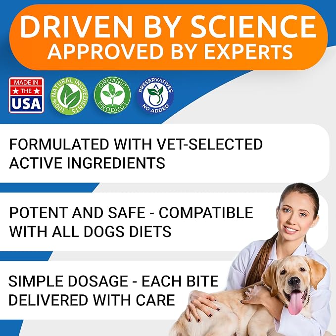 Glucosamine Chondroitin Dog Hip & Joint Supplement - Joint Pain Relief - Hip & Joint Chews for Dogs - Joint Support Large Breed - Senior Doggie Vitamin Pills Joint Health - (360 Treats - BBQ Chicken)