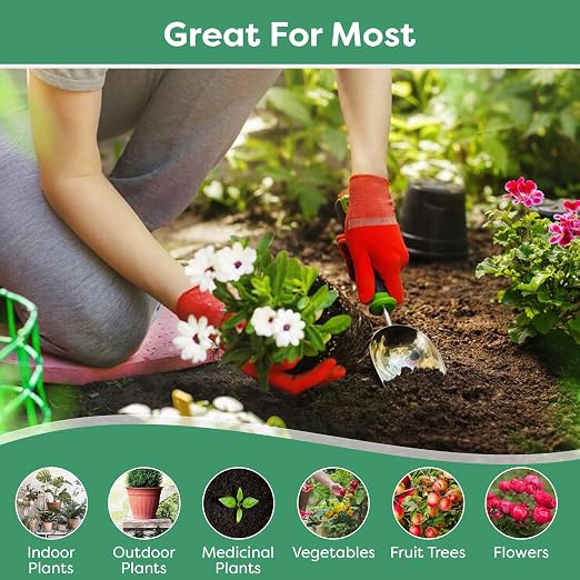Gardenwise 20-20-20 Water-Soluble Fertilizer β Powder for Liquid Plant Food for Indoor & Outdoor Plants, Orchids, Vegetables, Lawns, Flowers β 20 20 20 Fertilizer (10 QUARTS)
