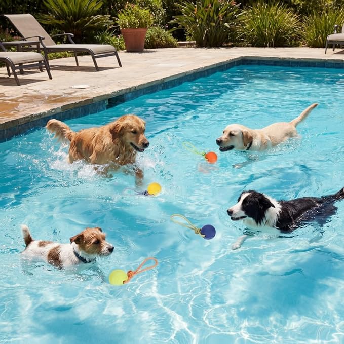 Skylety 4 Pack Floating Dog Toy with Rope Handle EVA Dog Bumper Throw Stick for Water Training Fetch Retrieving High Visibility Pool Water Toy for Beach Diving Pool Yard Summer Outdoor Play, Ball
