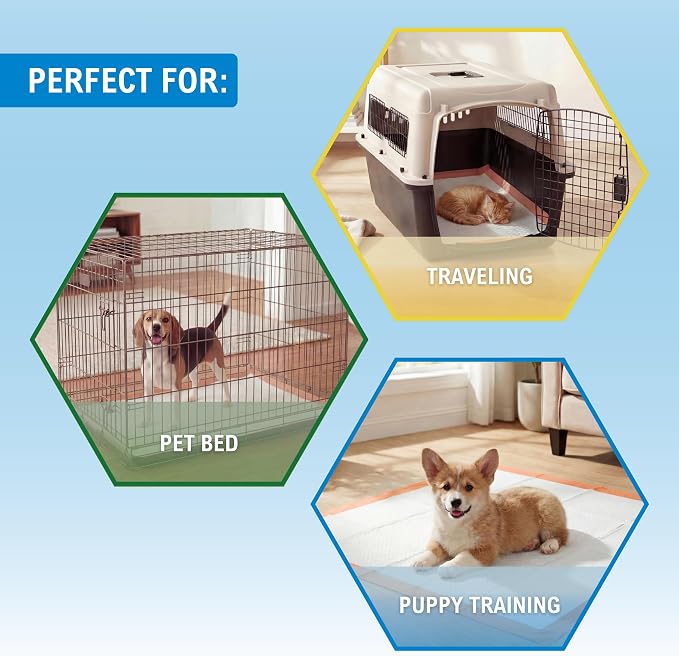 MED PRIDE Dog Training Pads with Adhesive Tabs & Attractant, 30 Count Puppy Pee Pads, 30 x 30 Inch Extra Large Disposable Potty Pads, 6-Layer Ultra Absorbent Leakproof Waterproof Pet Pads