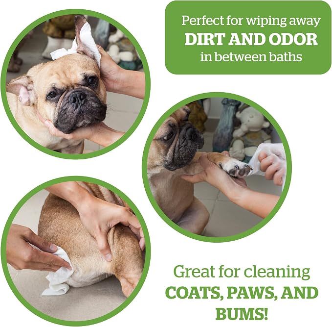 Pogi's Ultimate Dog Walk n' Wipe Combo - Pogi's 750 Unscented Dog Poop Bags + 2 Poop Bag Holders and 400 Green Tea Leaf Scented Grooming Wipes Bundle