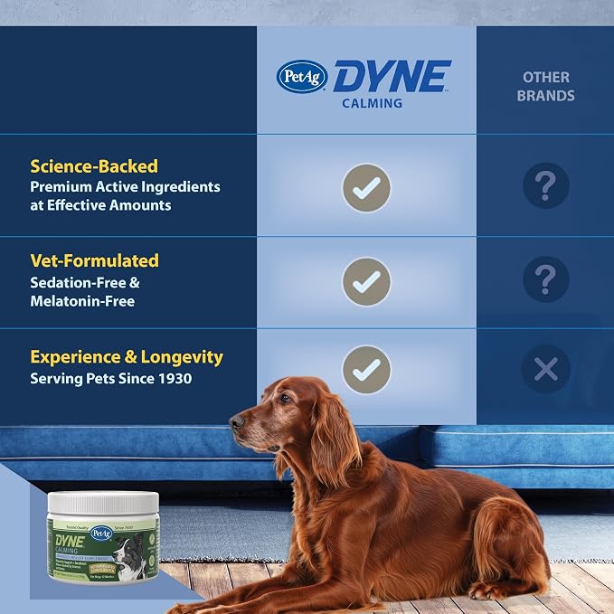 PetAg Dyne Soft Chews, Calming Supplement - Vet-Formulated for Dogs to Manage Normal Stress from Loud Noises, Travel & Separation - Non-Sedative - 60 Chicken Liver Flavor Chews