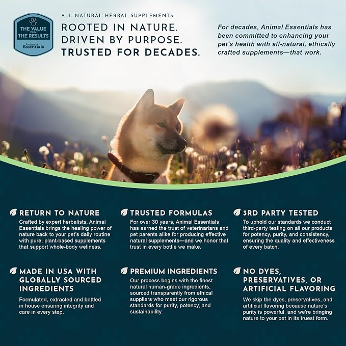 Animal Essentials Sea-Cal - Pure Seaweed Calcium Powder for Dogs with Magnesium, Joint Supplement for Dogs & Cats for Healthy Bones & Teeth, Joint Health, Vegan Icelandic Seaweed Calcium - 12 oz