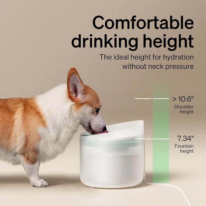 Bundle of PETLIBRO Dog Water Fountain, 2.1Gal/270oz Capsule Dog Fountain for Medium to Large Dogs, Anti-Splash, Ultra-Quiet + PETLIBRO Replacement Filters 4 Count Pack