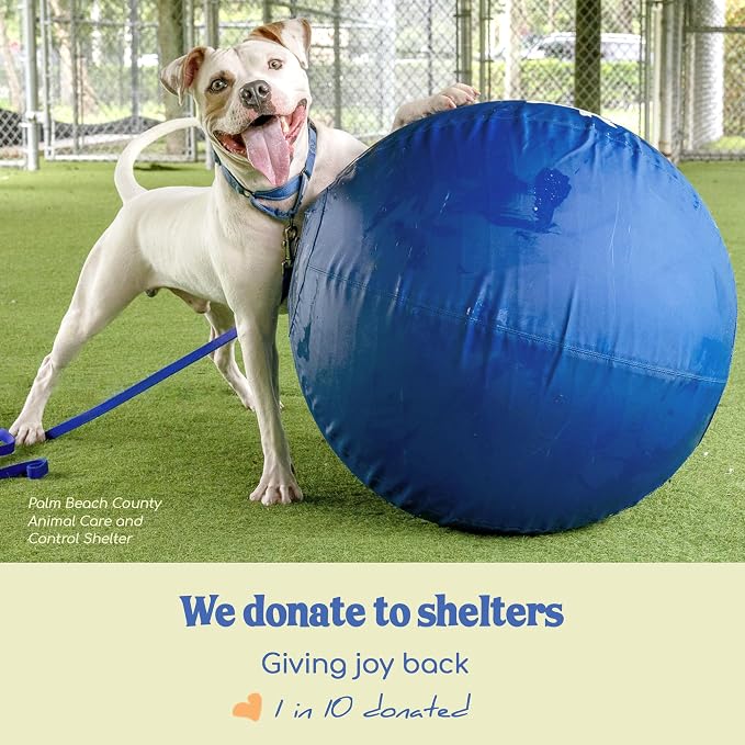 Race&Herd 30" Original XXL Herding Ball for Dogs - Herding Toys, Giant Dog Ball for Australian Shepherds, Border Collies - Durable Dog Outdoor Training Toy for Large Breeds & Horses (Tangerine)