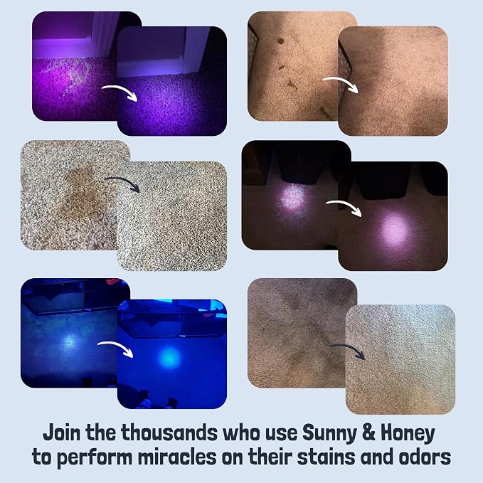Sunny & Honey Pet Stain and Odor Remover - Enzyme Cleaner for Dog Urine and Poop on Carpets and Furniture - Strong Pet Carpet Cleaner Spray (1 Gallon Fall Spice)