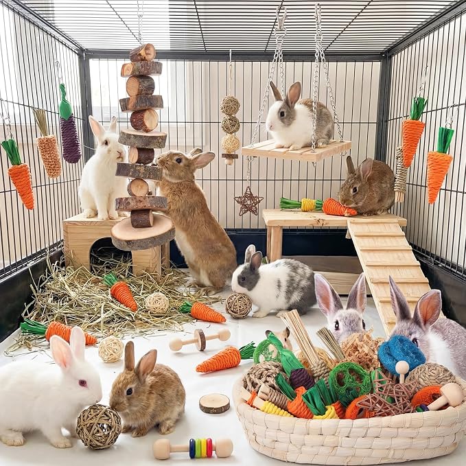 Novabright 33 PCS Rabbit Chew Treat Toys Set Natural Bunny Enrichment Toys for Teeth Health Indoor Outdoor for Rabbit Guinea Pig Chinchilla Hamster (Cute)