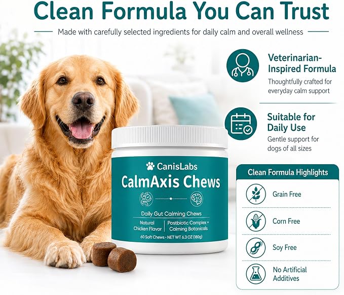 Calmaxis Postbiotic Chews, Calming Chews for Dogs, Daily Gut Support with Postbiotics + L-Theanine for Puppies Small All Dogs, Reduce Stress and Anxiety, Chicken Flavor, 60 Soft Chews