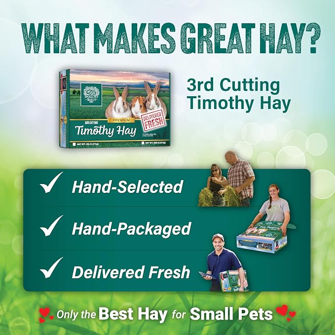 Small Pet Select 3rd Cutting Timothy Hay, Animal Food for Guinea Pig, Rabbit, Hamster, Bunny, or Chinchilla, Natural Hay Grown in The USA, 5lb