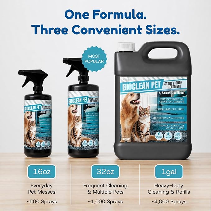 Bioclean Pet Carpet Cleaner & Deodorizer – Eliminates Pet Urine Smell, Stain & Odor Remover, No Residue, Made in USA – 1 Gallon