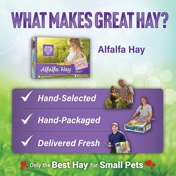 Small Pet Select Alfalfa Hay Pet Food, 2 lb.