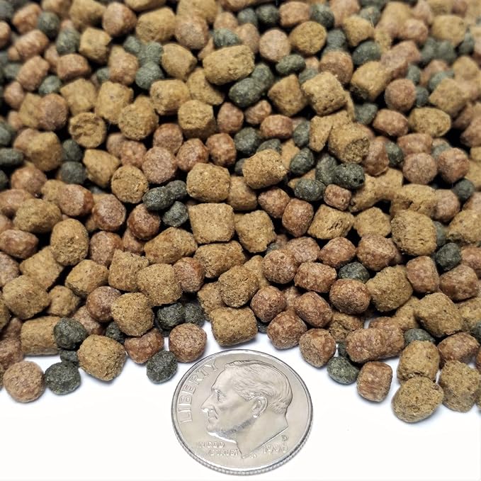3-Type Blend of 4mm Floating Intense Growth & Intense Color Enhancing & Zeigler 40% Protein Pellets for All Tropicals & Pond Fish KGM-300…1-lb 12oz Med Jar