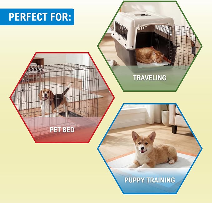 MED PRIDE Dog Training Pads with Attractant, Puppy Pee Pads, 22 x 24 Inch Disposable Potty Pads, 6-Layer Ultra Absorbent Leakproof Waterproof Pet Pads for Dogs, Cats & Small Pets (125)