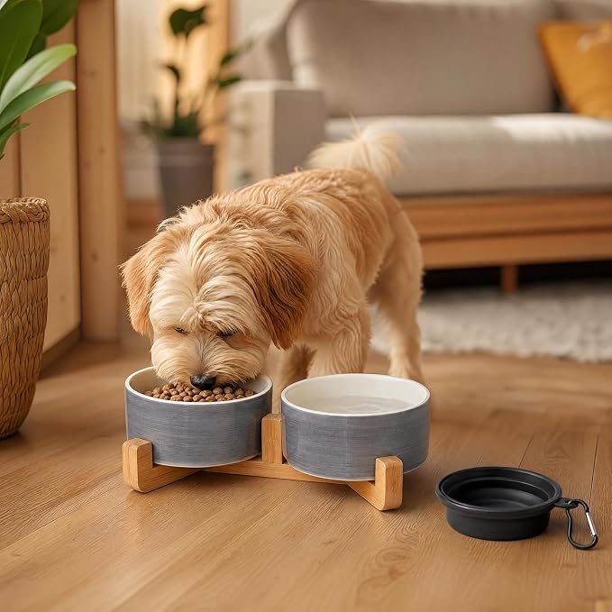 Petygooing Ceramic Cat Dog Bowl Set with Wood Stand, 13.5OZ/5.1 in, Grey White