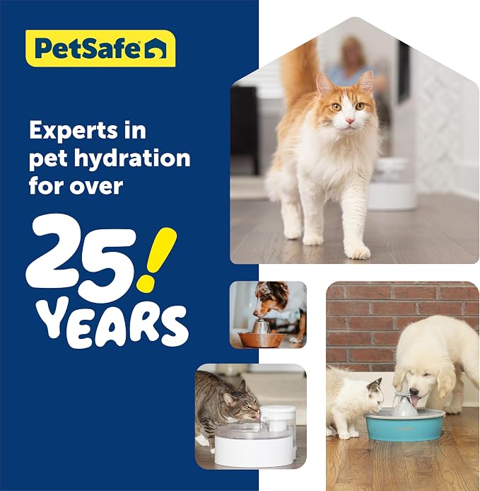 PetSafe Outlast Pumpless Cat Water Fountain 60 oz/1.7L Indoor Water Dispenser for Cats, Dishwasher Safe, Easy Assembly and Cleaning, Water Filter Included