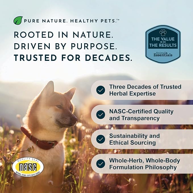 Animal Essentials Yucca - Hip and Joint Yucca Root Supplement for Dogs & Cats, Liquid Herbal Care Drops for Senior Dogs & Older Pets, Bowel & Immune Support, Antioxidant Boost - 1 fl oz